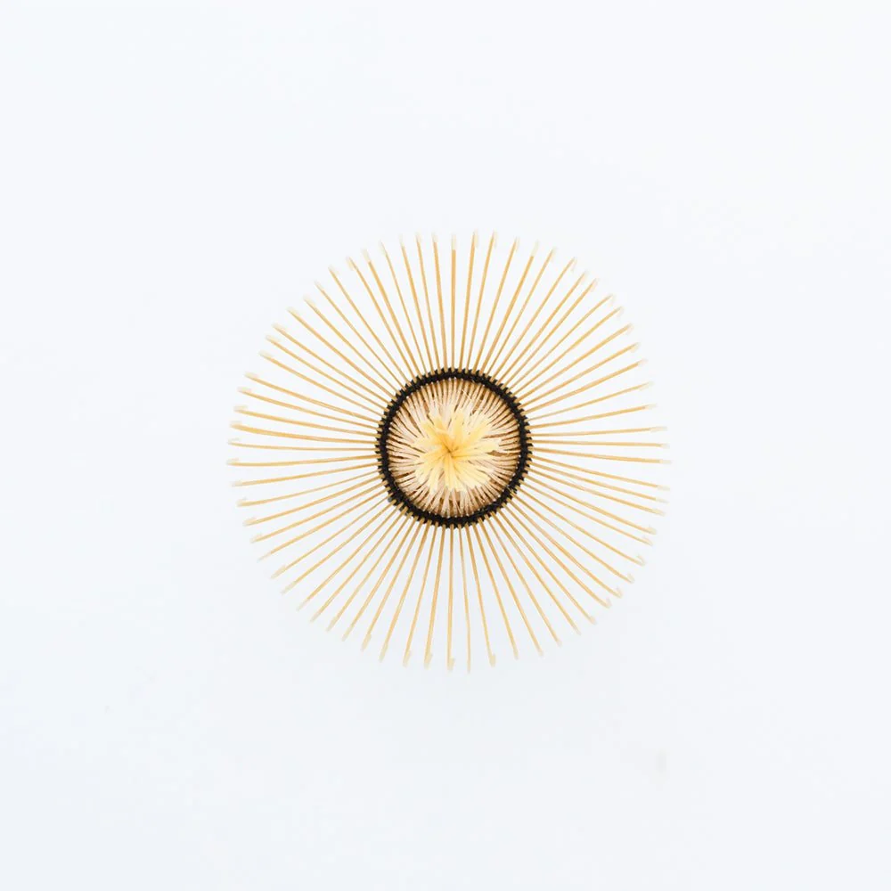 CHASEN SHIN Takayama Japanese Made Whisk - Image 6